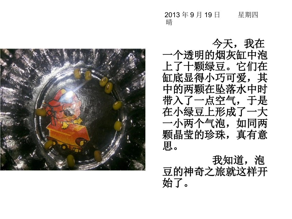 绿豆成长记(观察日记)_第2页