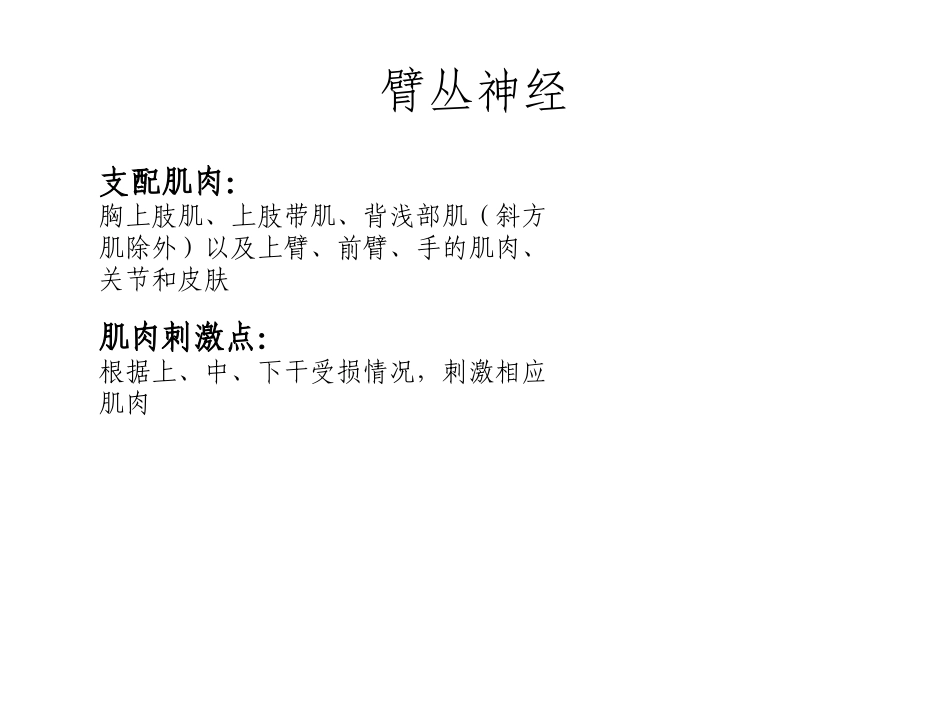 周围神经体表投影_第3页