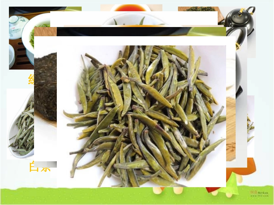 浙江绿茶(课件)_第2页