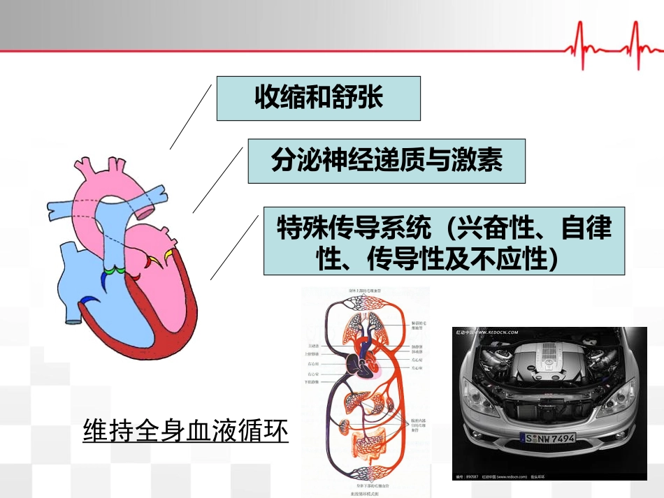 康复评定——心肺功能评定_第3页