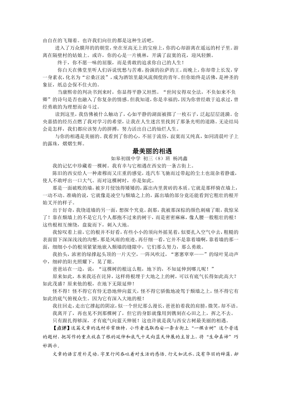 最美丽的相遇(优秀作文精选汇编) (2)_第3页