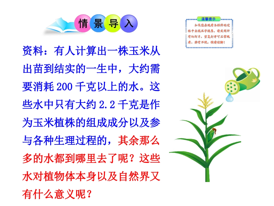 绿色植物与生物圈的水循环_第3页