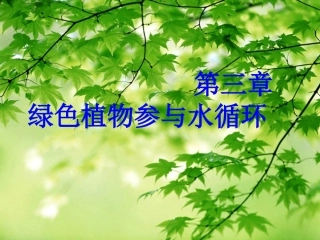绿色植物与生物圈的水循环