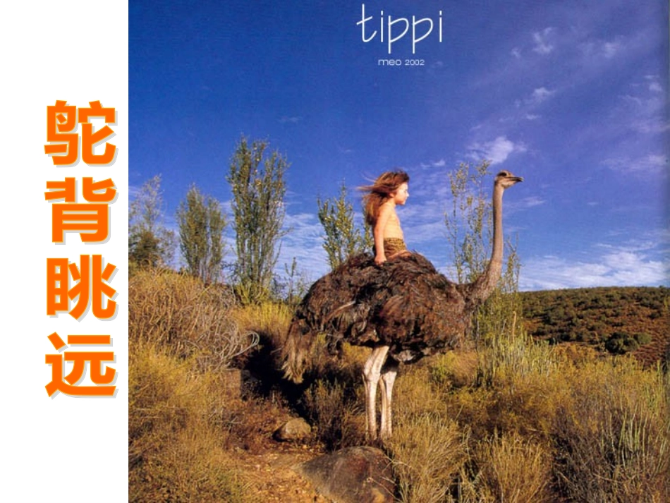 五上16珍珠鸟原创_第2页