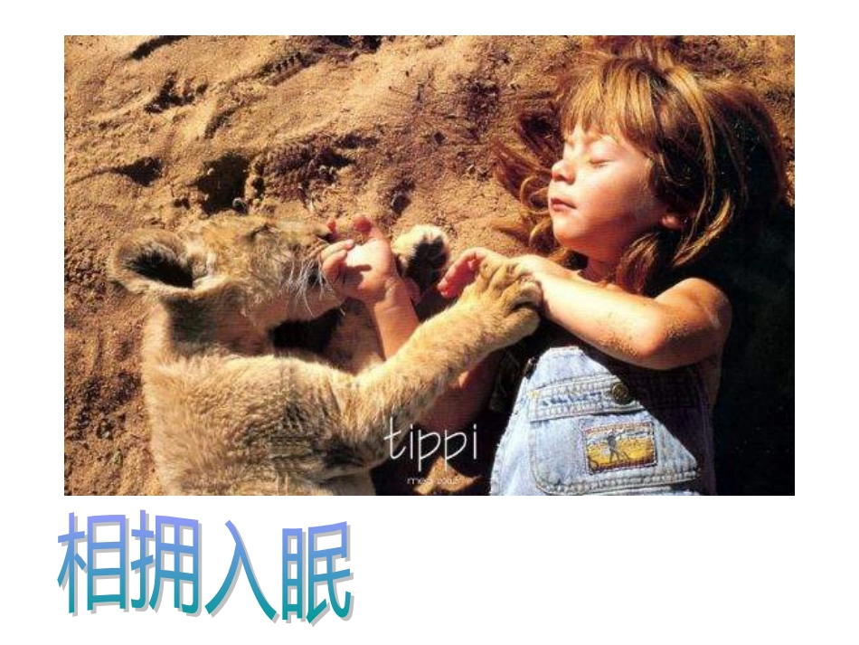 五上16珍珠鸟原创_第3页