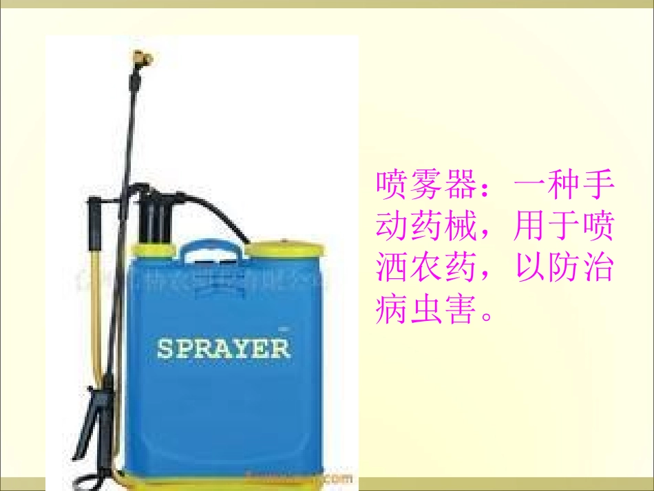 小稻秧脱险记第二课时课件 (2)_第2页