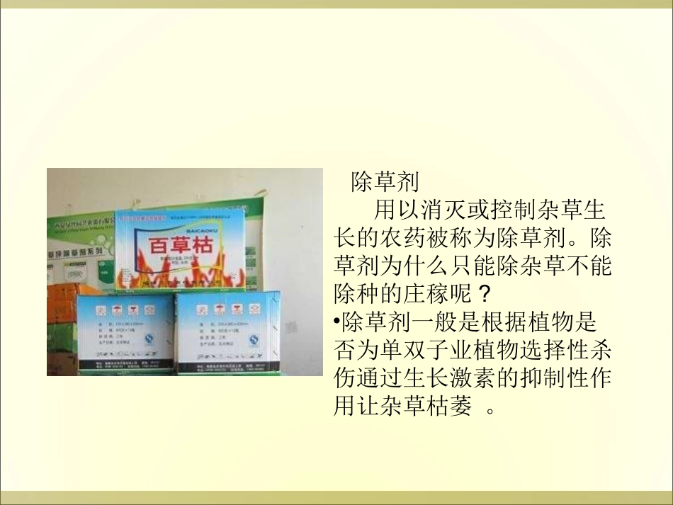 小稻秧脱险记第二课时课件 (2)_第3页