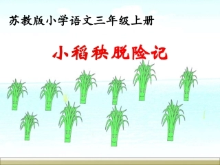小稻秧脱险记第二课时课件 (2)