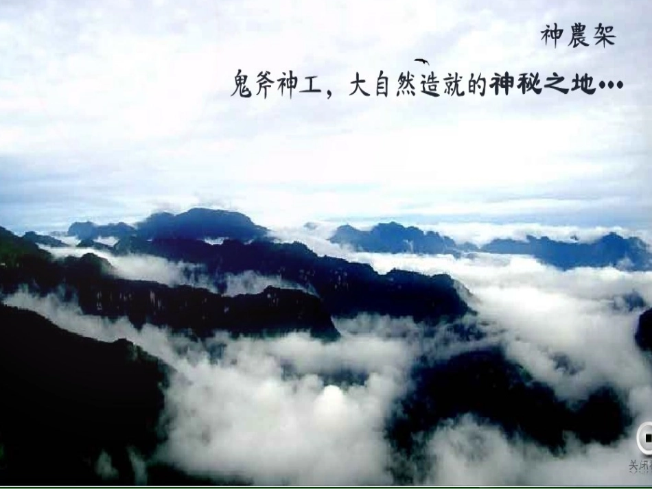 神农架演讲PPT_第3页