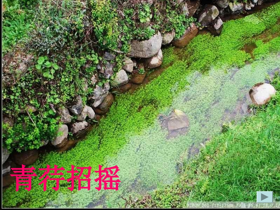 再别康桥-(3)_第3页