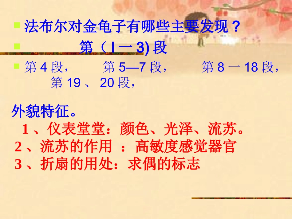 《松树金龟子》_第3页
