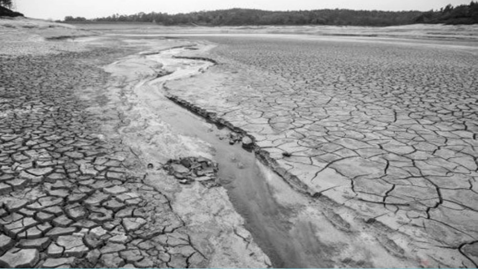 19.七颗钻石_第3页