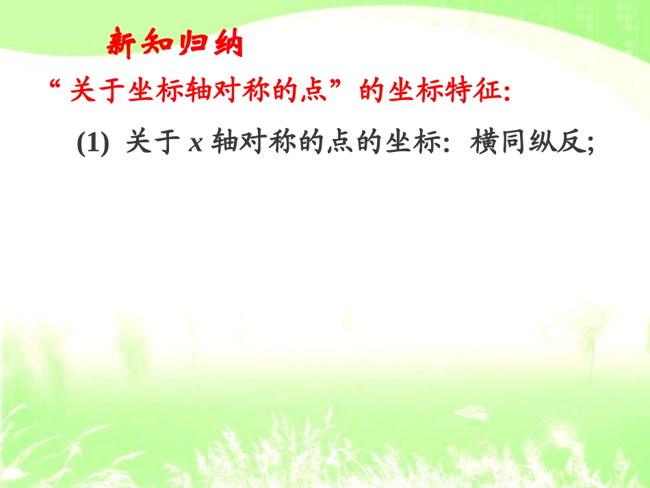 新北师大版轴对称与坐标变化(优质课)_第3页