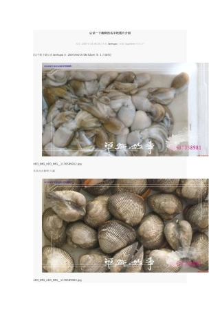 海鲜名字及图片介绍