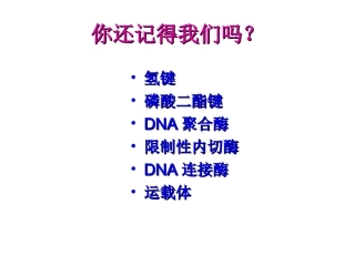 《DNA重组技术的基本工具》课件3