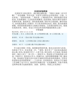 阶段性研修简报