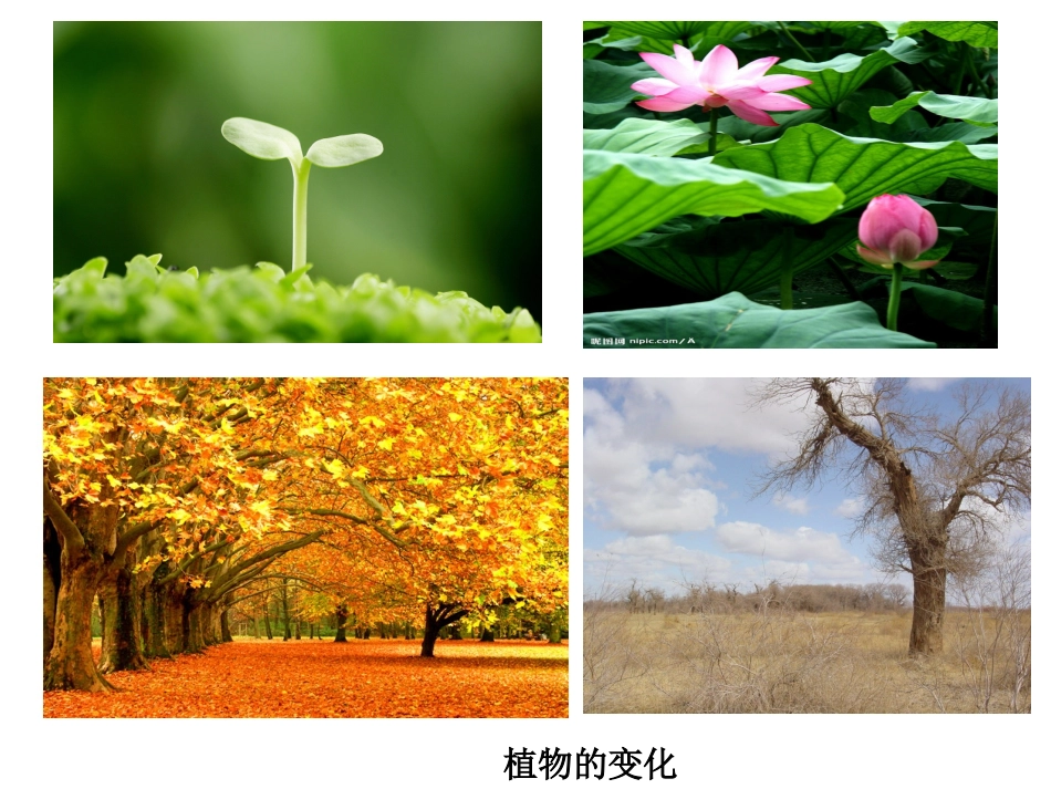 2.跟着节气去探究_第1页