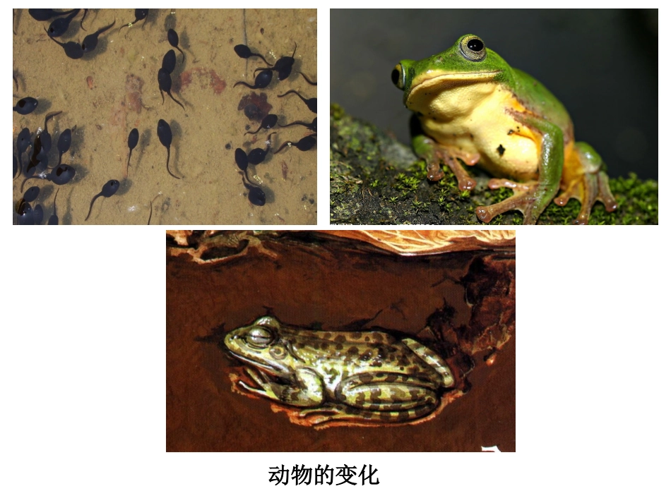 2.跟着节气去探究_第2页