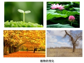 2.跟着节气去探究