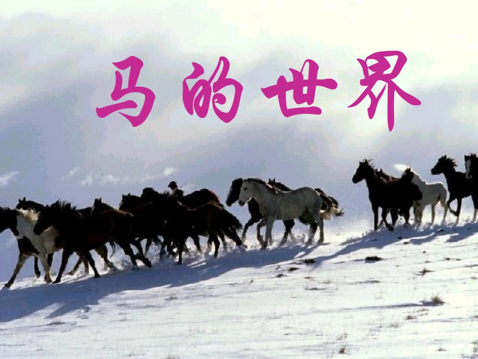 七（下）第六单元综合性学习：马的世界_第2页