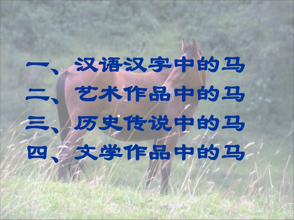 七（下）第六单元综合性学习：马的世界_第3页