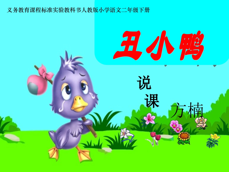 丑小鸭说课课件_第1页