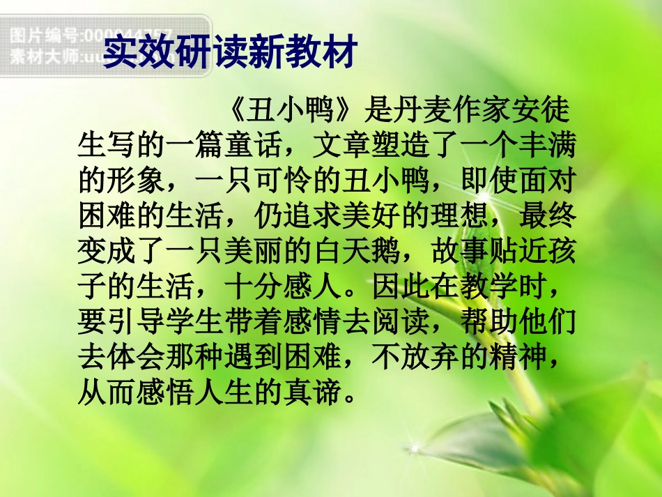 丑小鸭说课课件_第3页