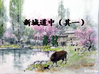 新城道中(其一)ppt