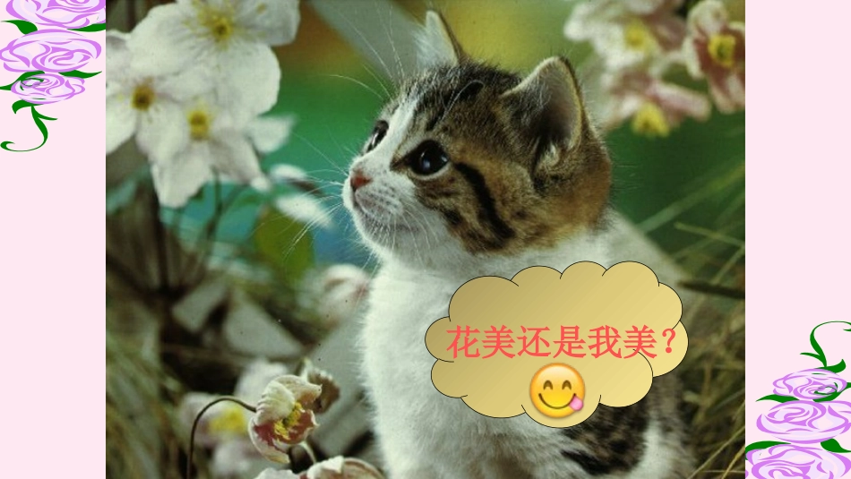 6.我们家的猫_第2页