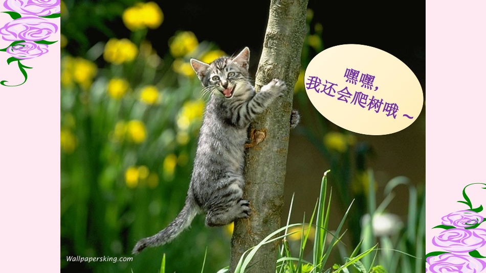 6.我们家的猫_第3页