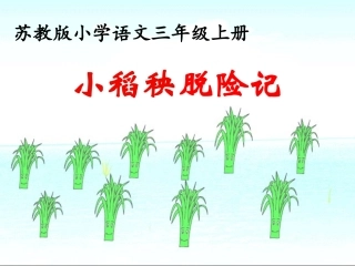 小稻秧脱险记第二课时课件-(2)