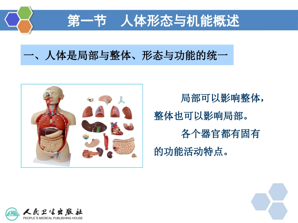 健康管理师第二章医学基础知识ppt课件_第3页