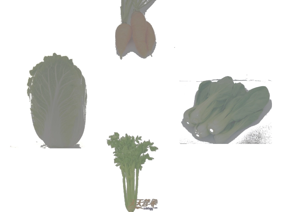 幼儿园课件-认识蔬菜_第2页