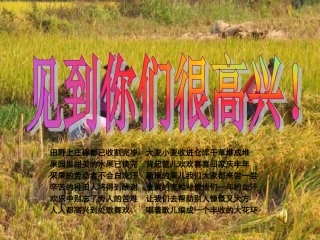 收获的季节(终稿)