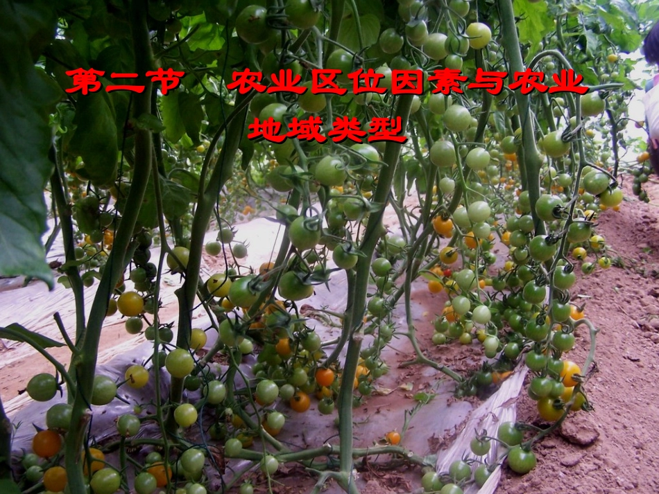 《农业区位因素与农业地域类型》参考课件2_第1页