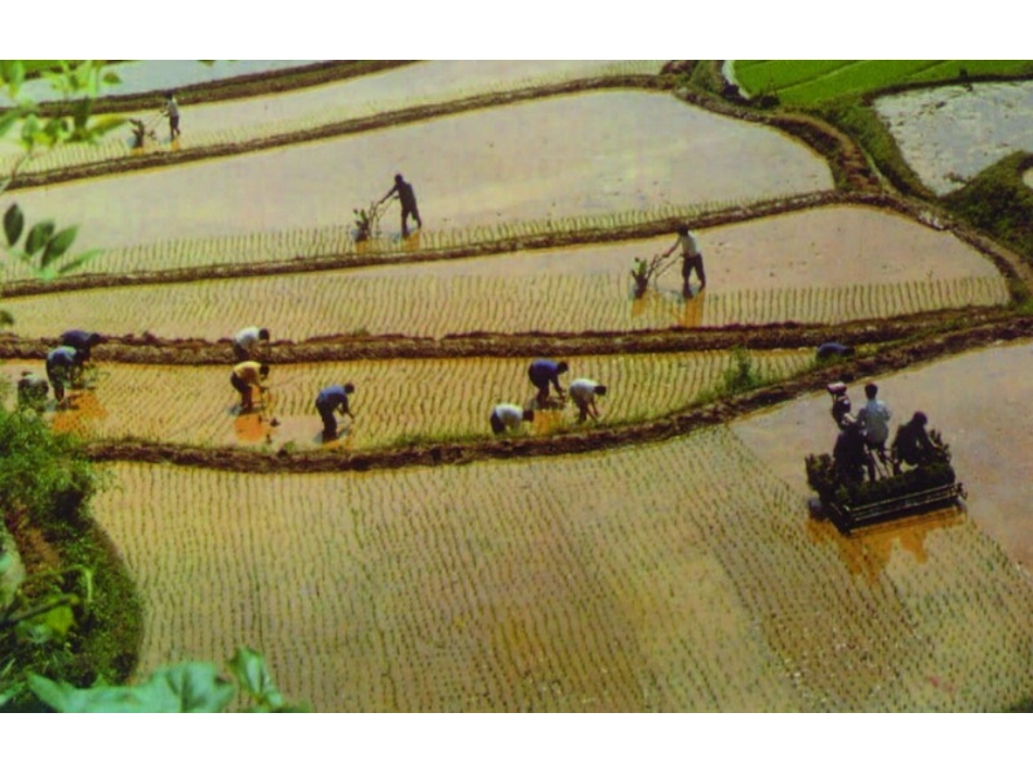 《农业区位因素与农业地域类型》参考课件2_第2页