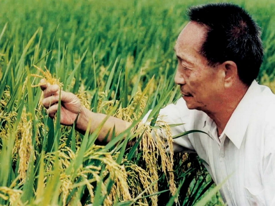 《农业区位因素与农业地域类型》参考课件2_第3页