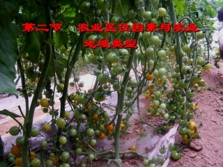 《农业区位因素与农业地域类型》参考课件2
