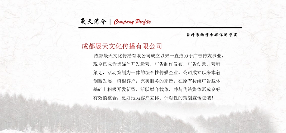 晟天快递广告招商方案_第3页