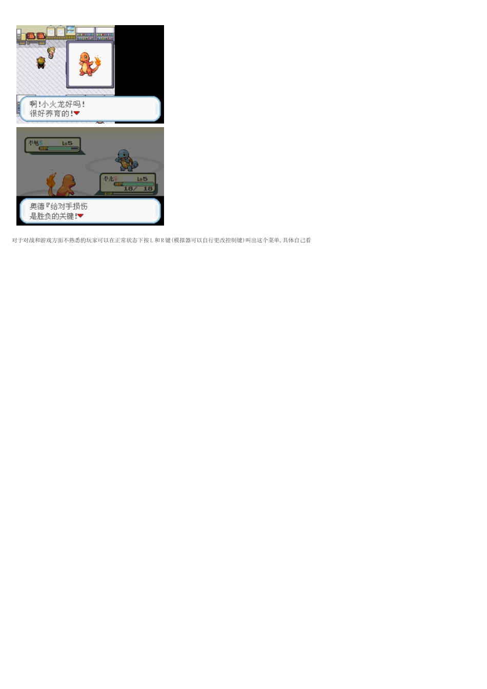 口袋妖怪叶绿图文攻略_第3页