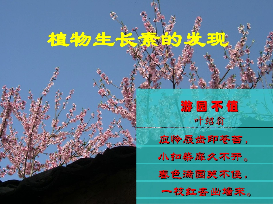 植物的激素调节(精品)ppt_第2页