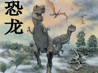 《恐龙》课件