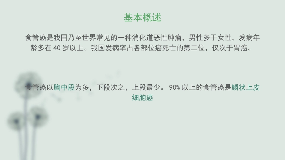 食管癌的护理查房_第2页