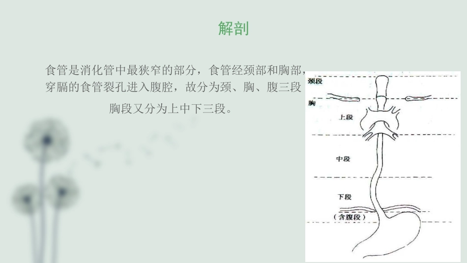 食管癌的护理查房_第3页