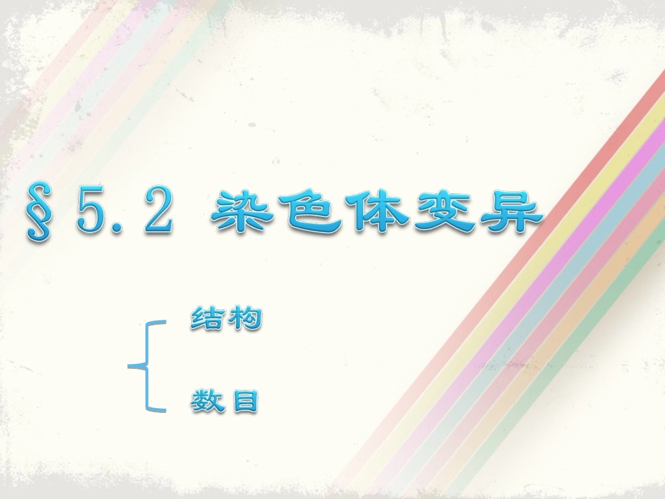 染色体变异h_第1页