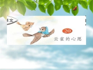 云雀的心愿课件 (2)