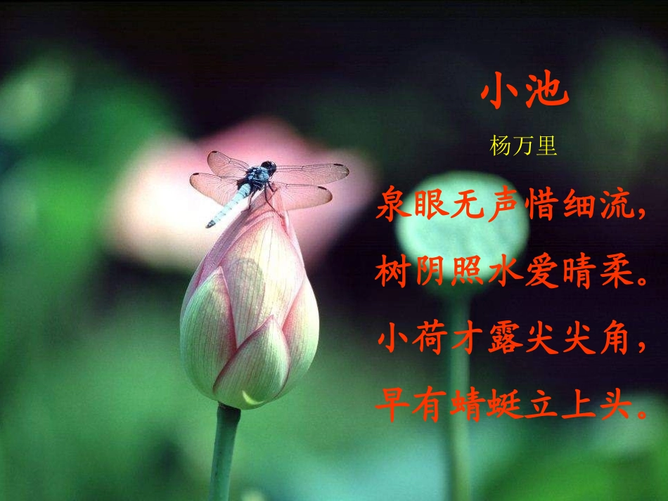 晓出净慈寺送林子方 (2)_第2页