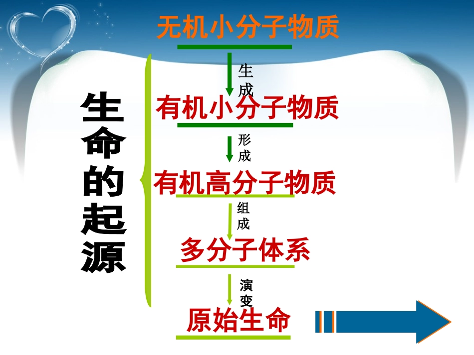 -生物进化的历程课件-_第3页