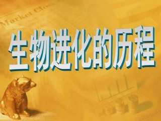 -生物进化的历程课件-