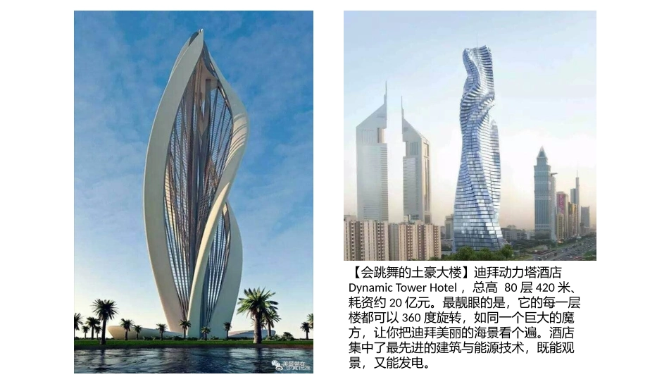 2.画中的线条_第2页